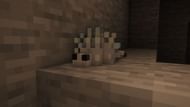 A silverfish in the game (Image via Minecraft)